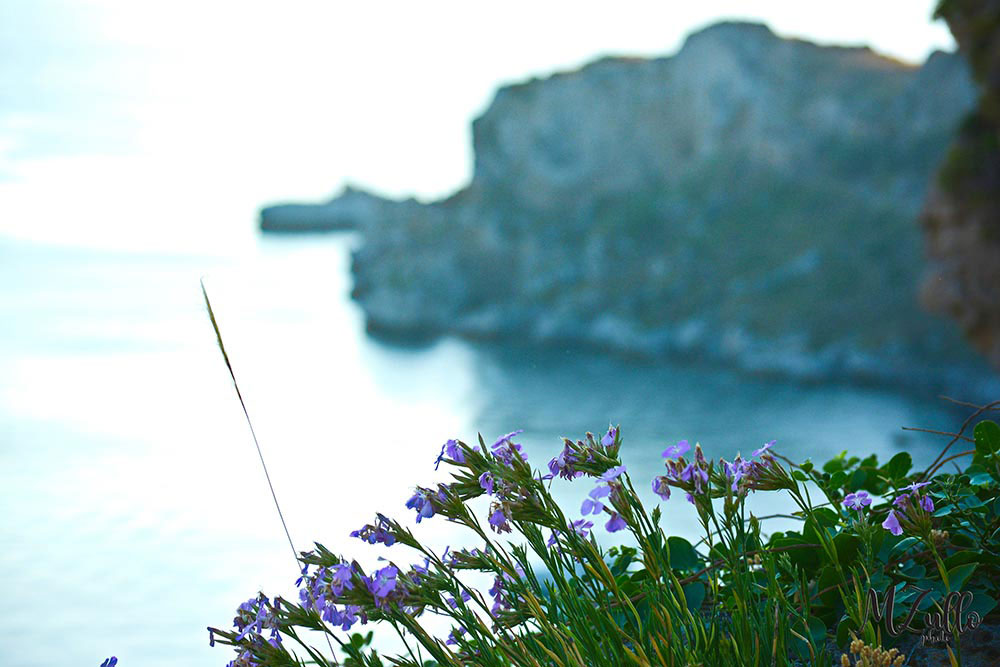 Rakelhome - Vista del mare e di Capo Milazzo