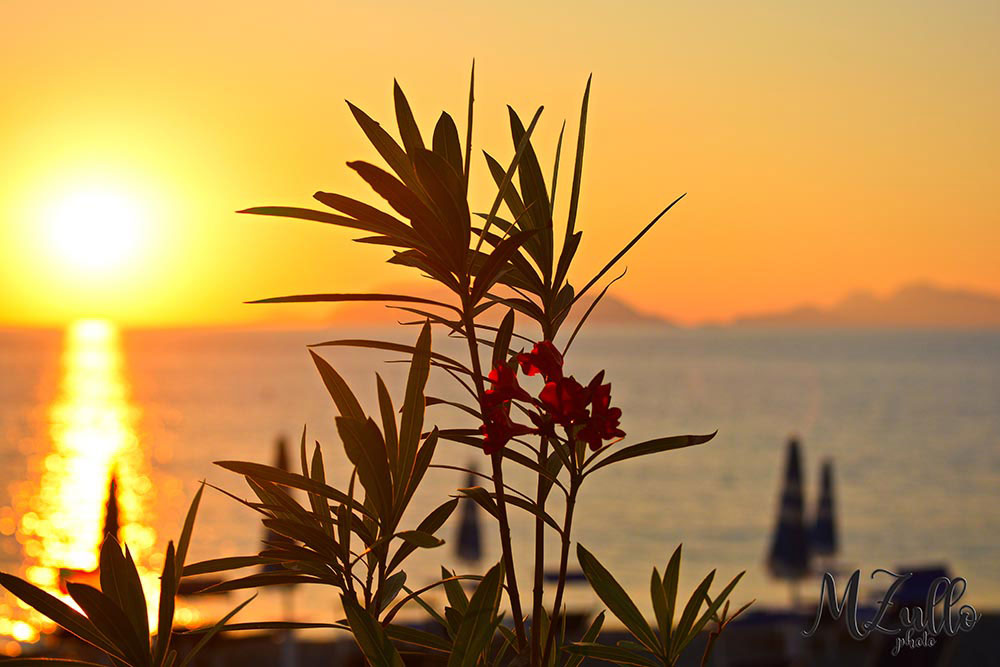 Rakelhome - Il sole si appresta a tramontare - Milazzo